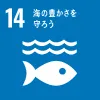 SDGs14：海の豊かさを守ろう